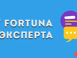 Казино Play Fortuna: отзыв эксперта